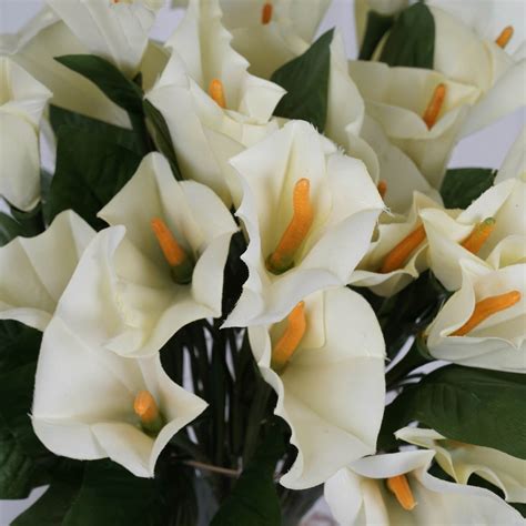 are calla lilys cheap in boquets